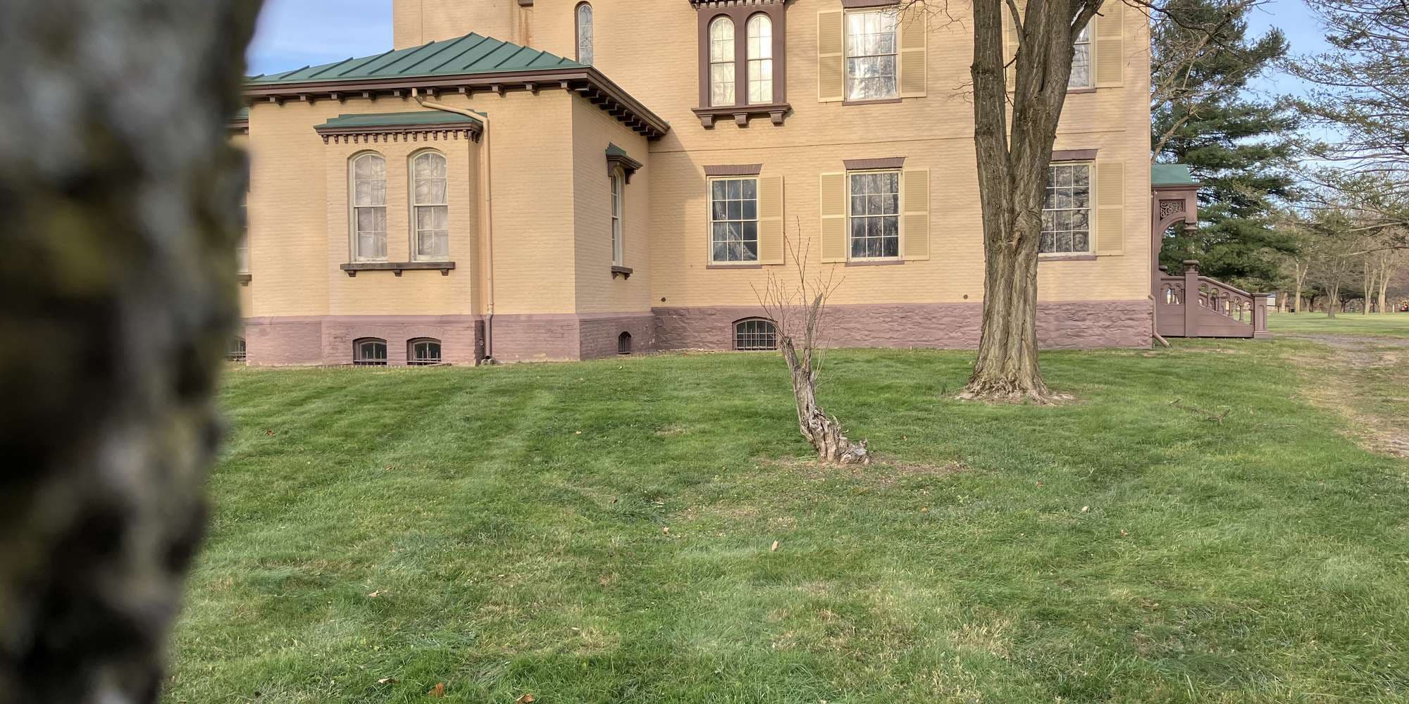 Second image to compare