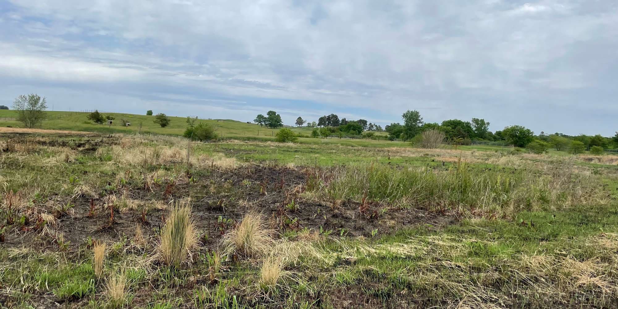 First image to compare