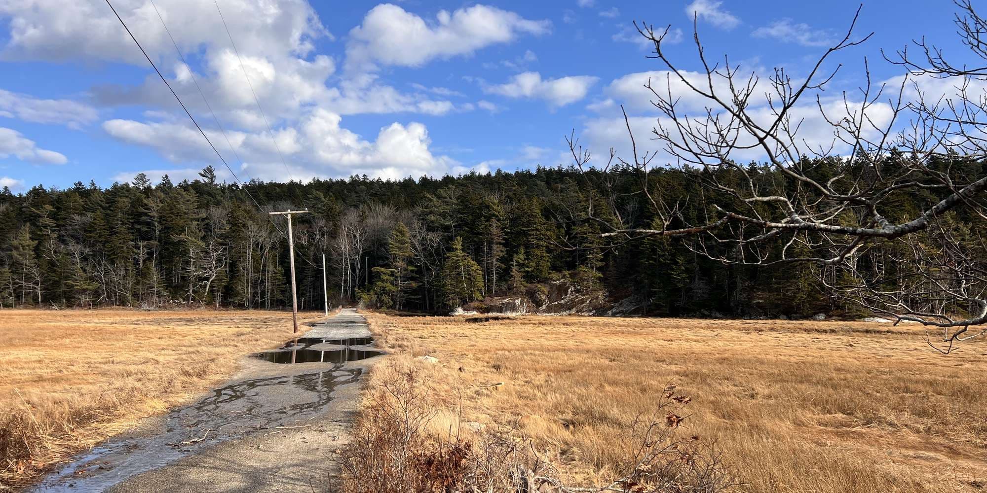 First image to compare