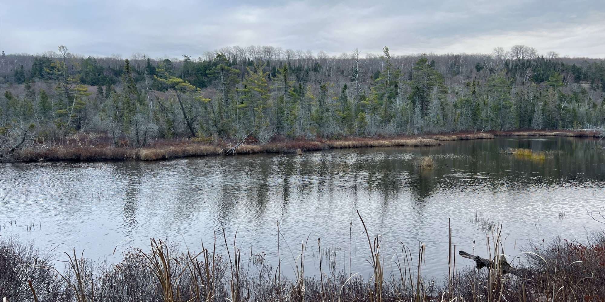 Second image to compare