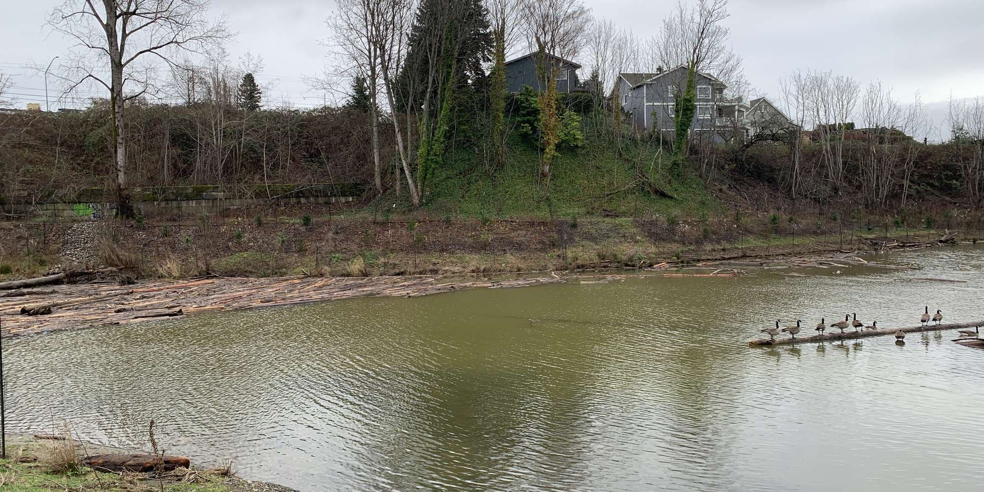 Second image to compare