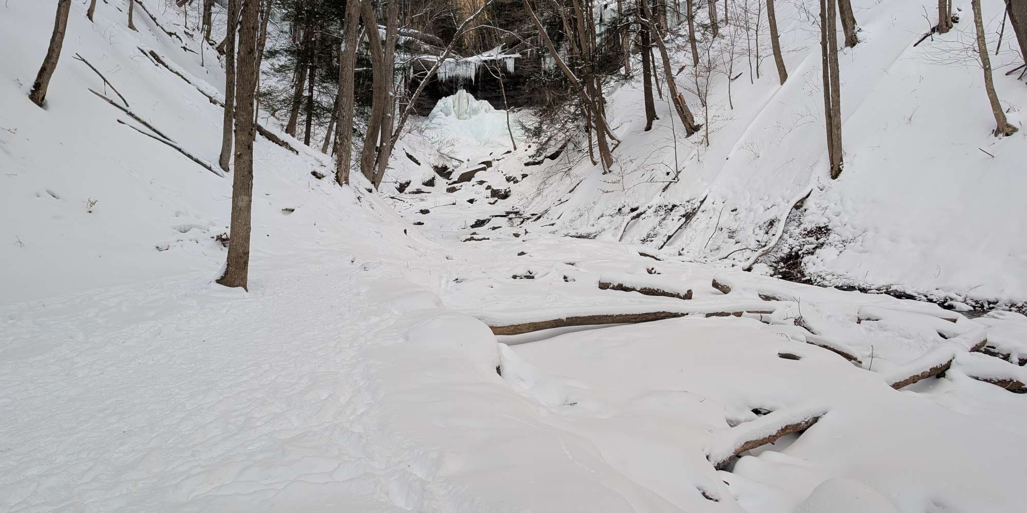 Second image to compare