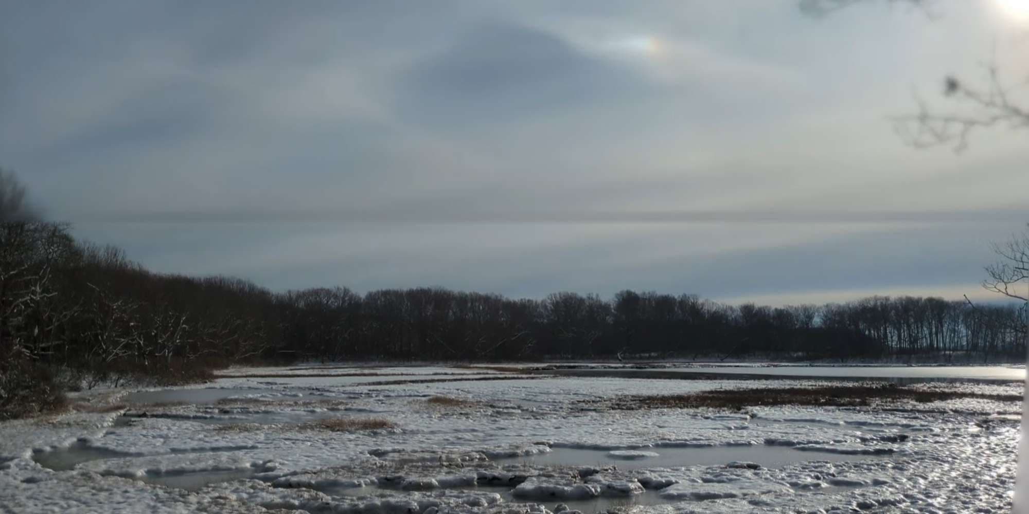 Second image to compare