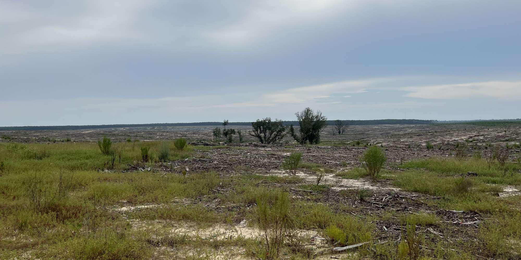 First image to compare