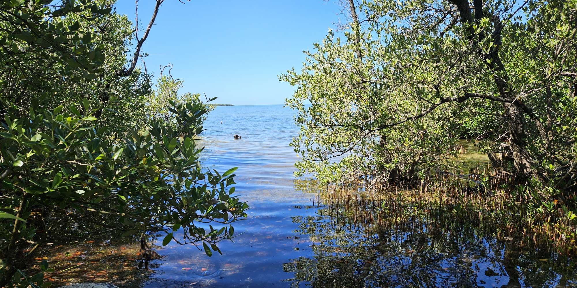 First image to compare