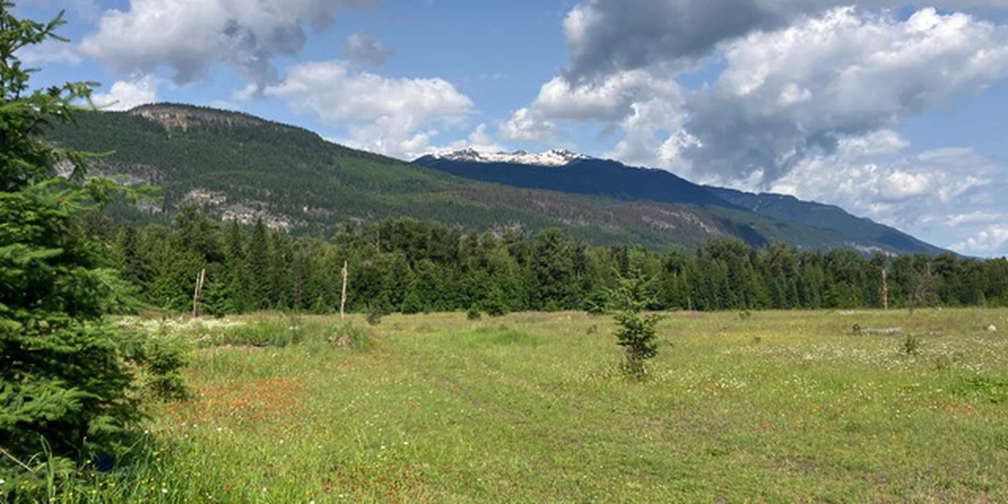 Second image to compare