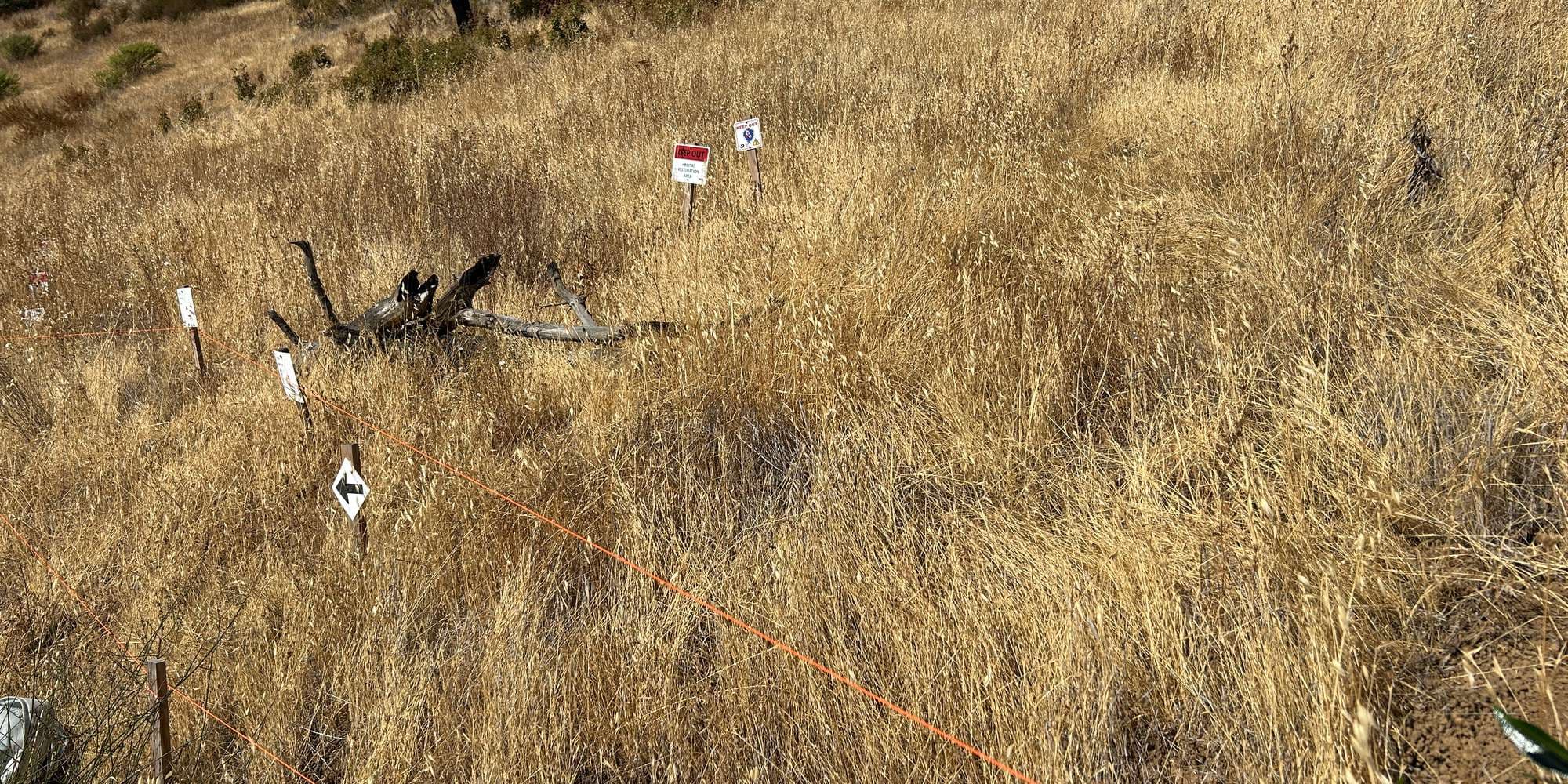 First image to compare