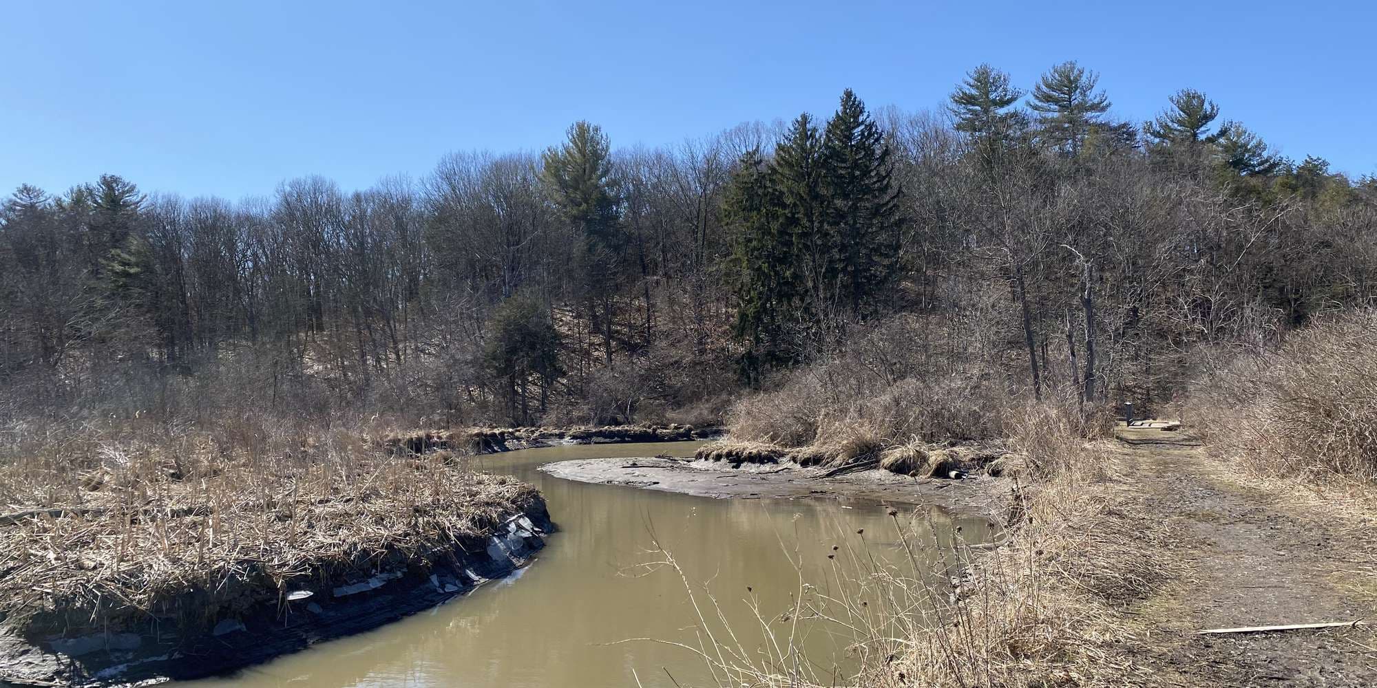 First image to compare