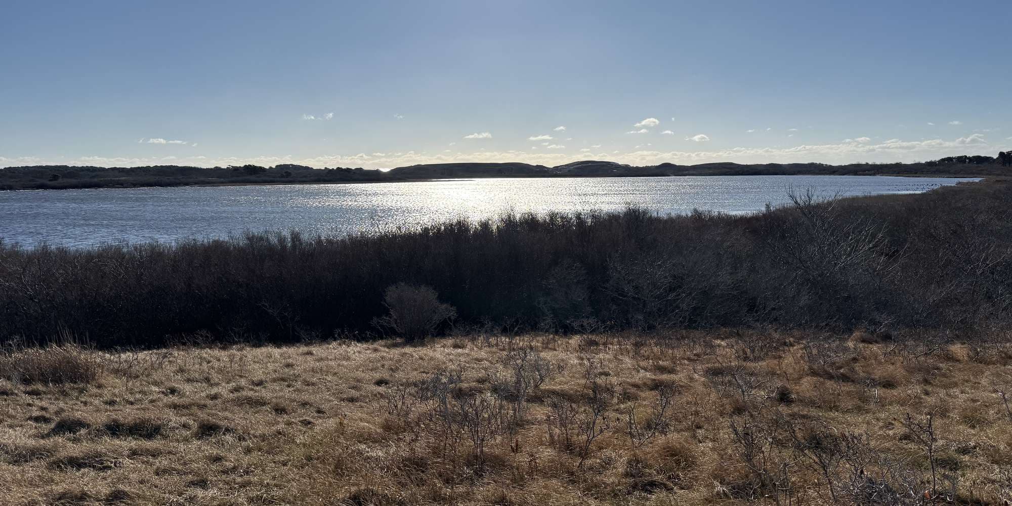 Second image to compare