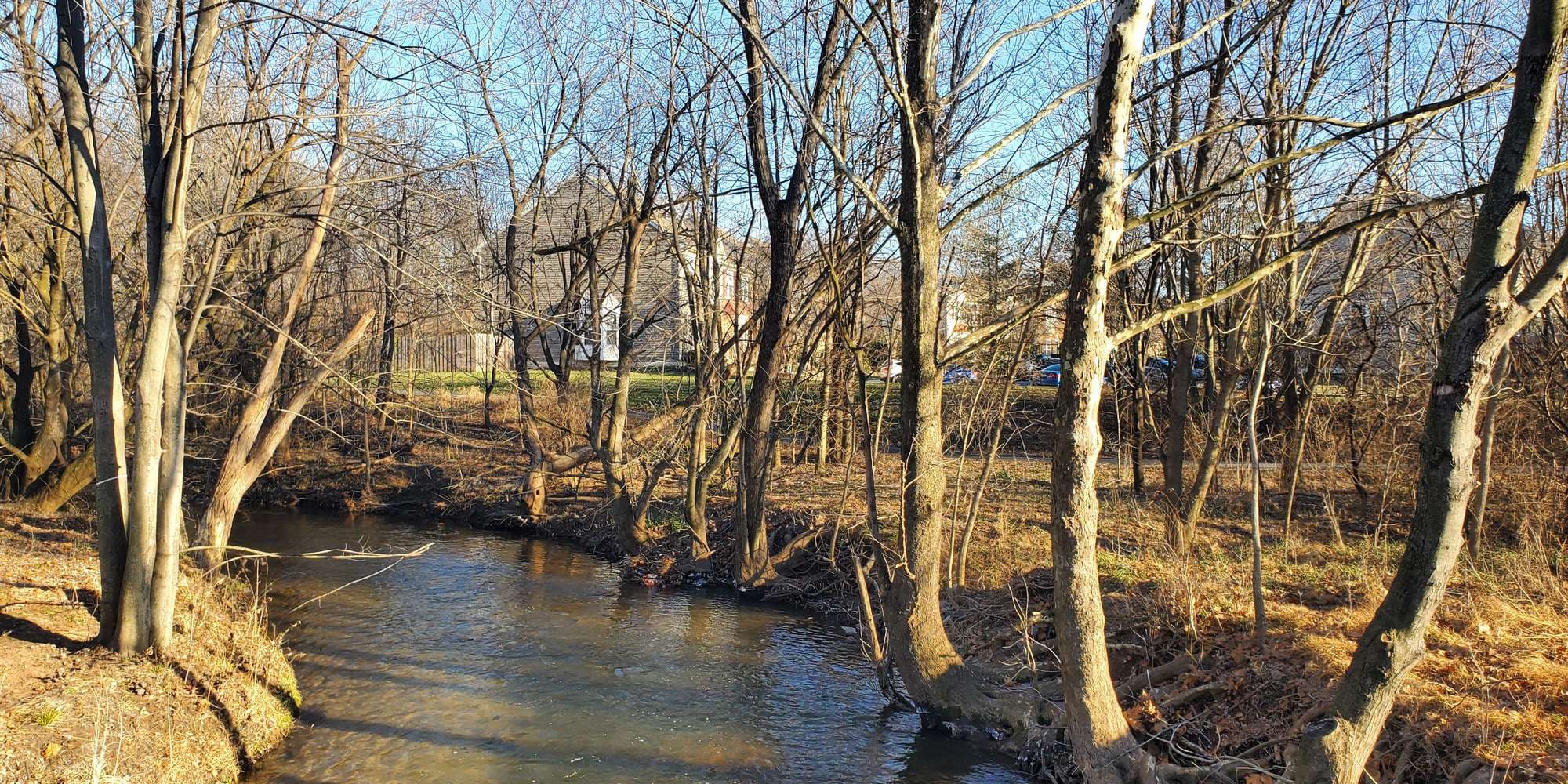 First image to compare