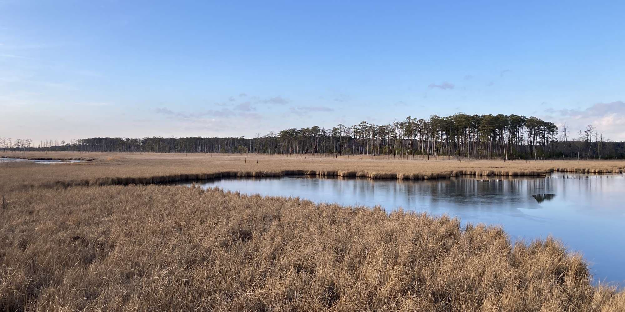 Second image to compare