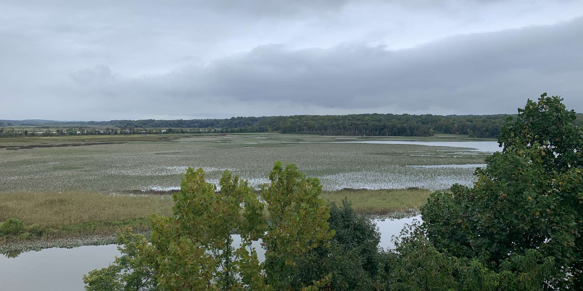 Second image to compare