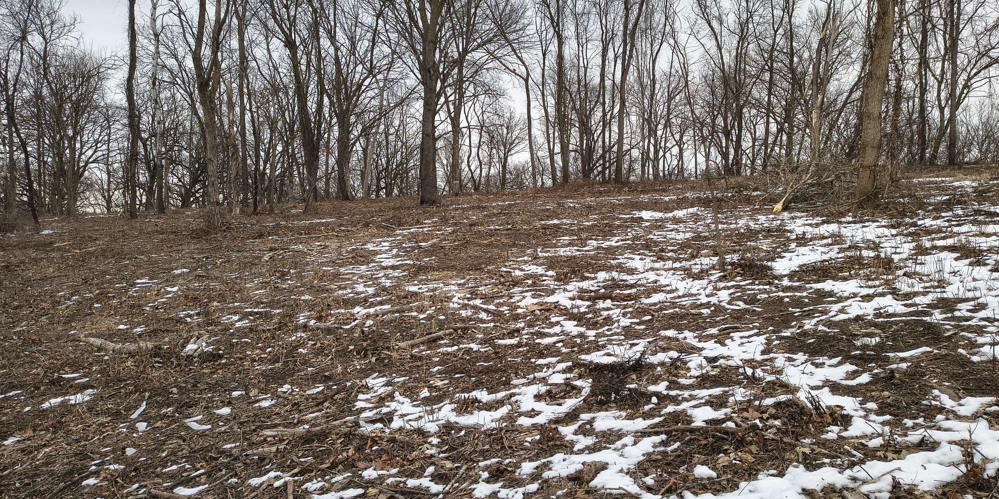 Second image to compare