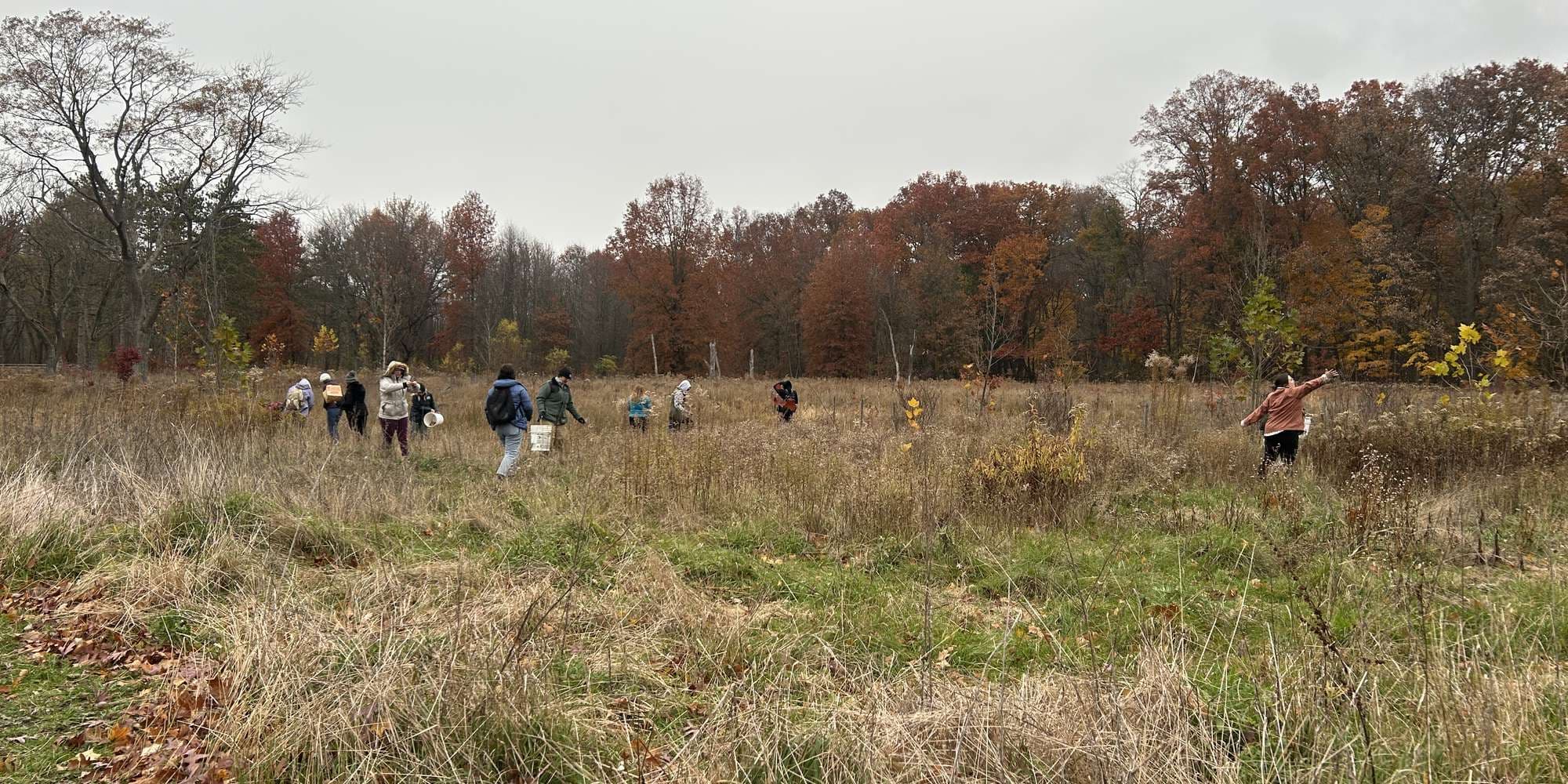 Second image to compare