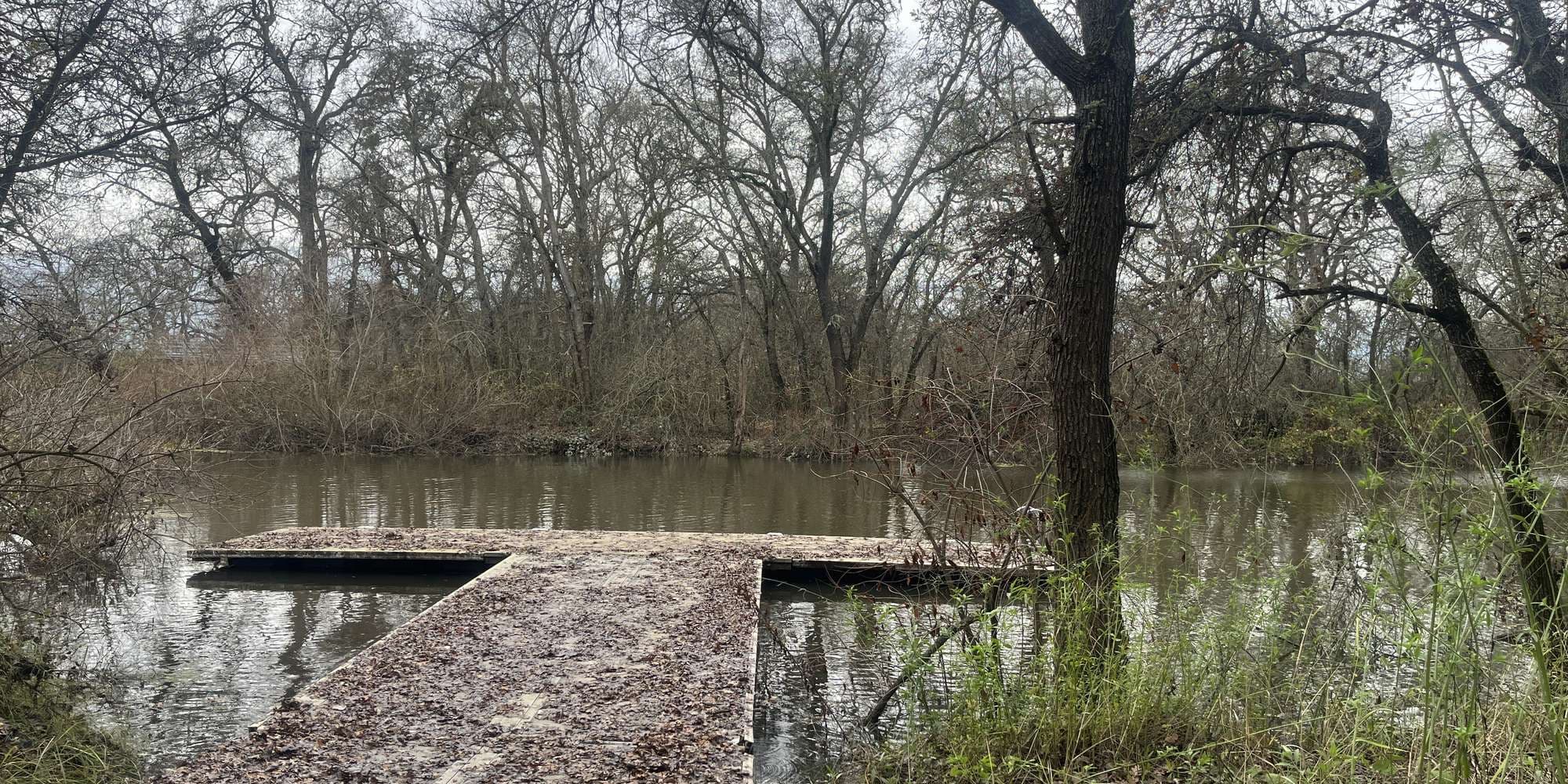 Second image to compare