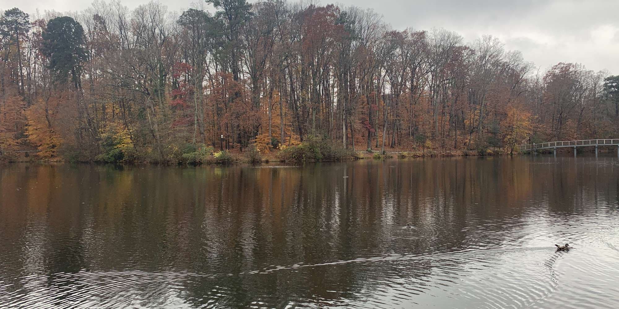 Second image to compare