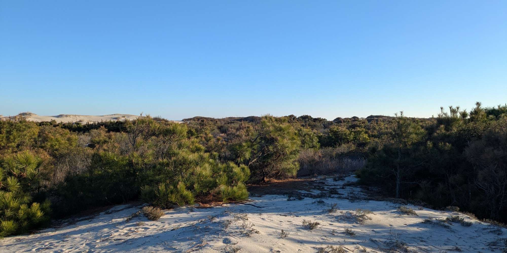 Second image to compare