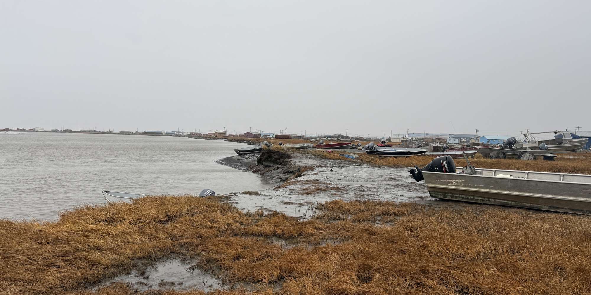 Second image to compare