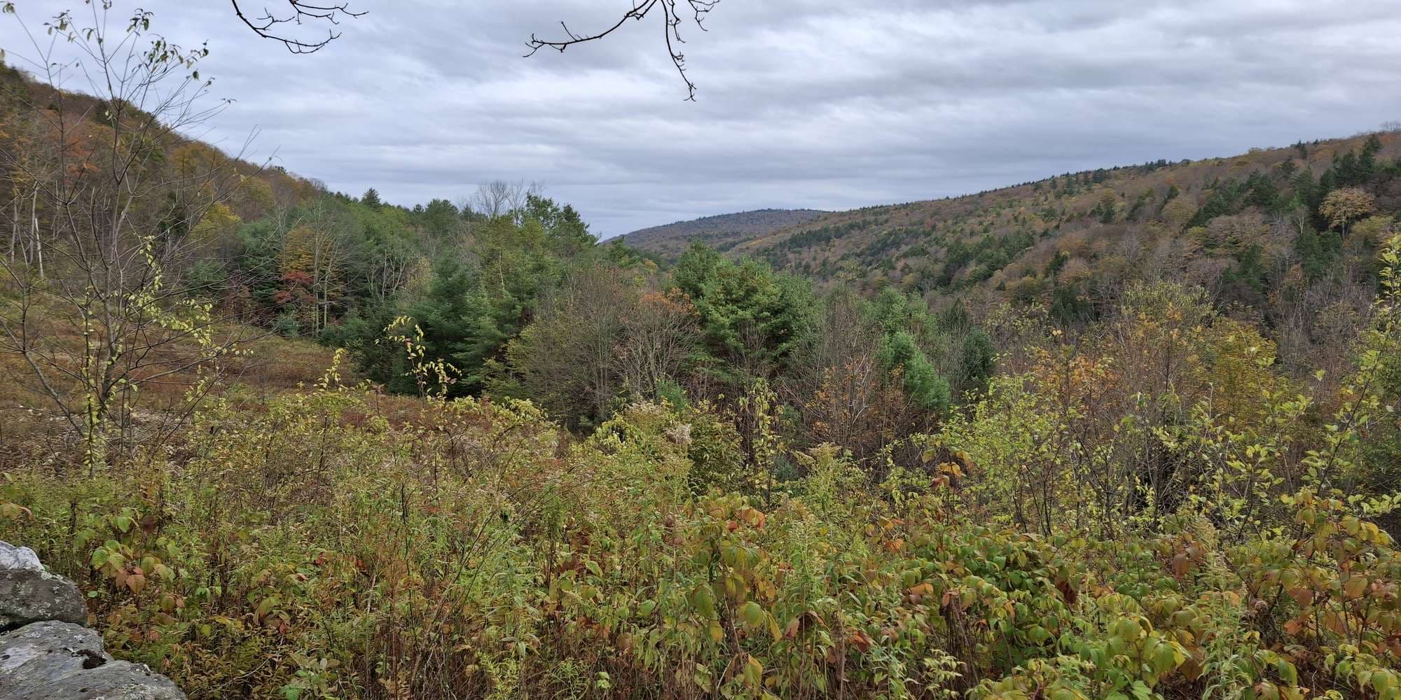 Second image to compare