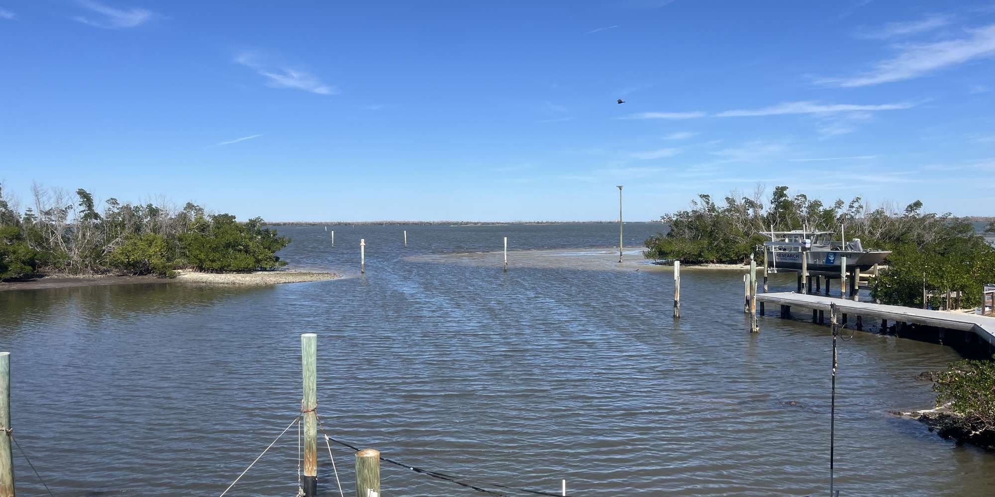 Second image to compare