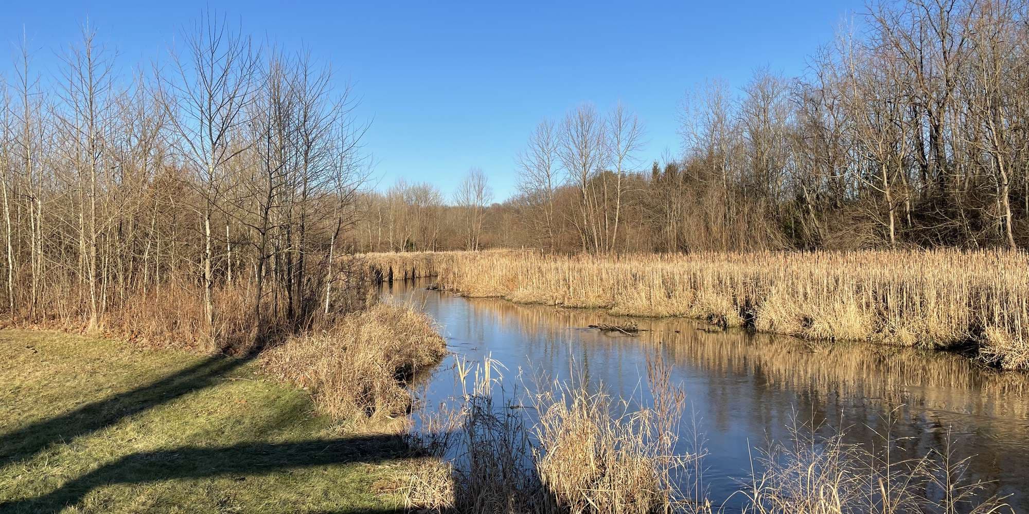 Second image to compare