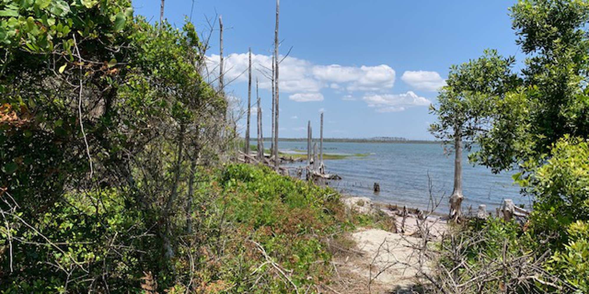 First image to compare