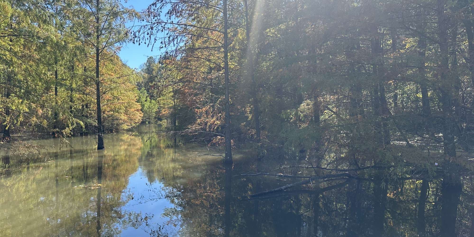 First image to compare