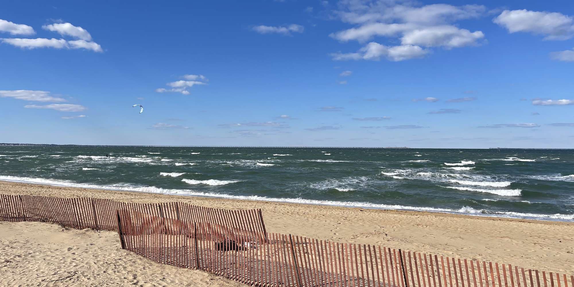 Second image to compare