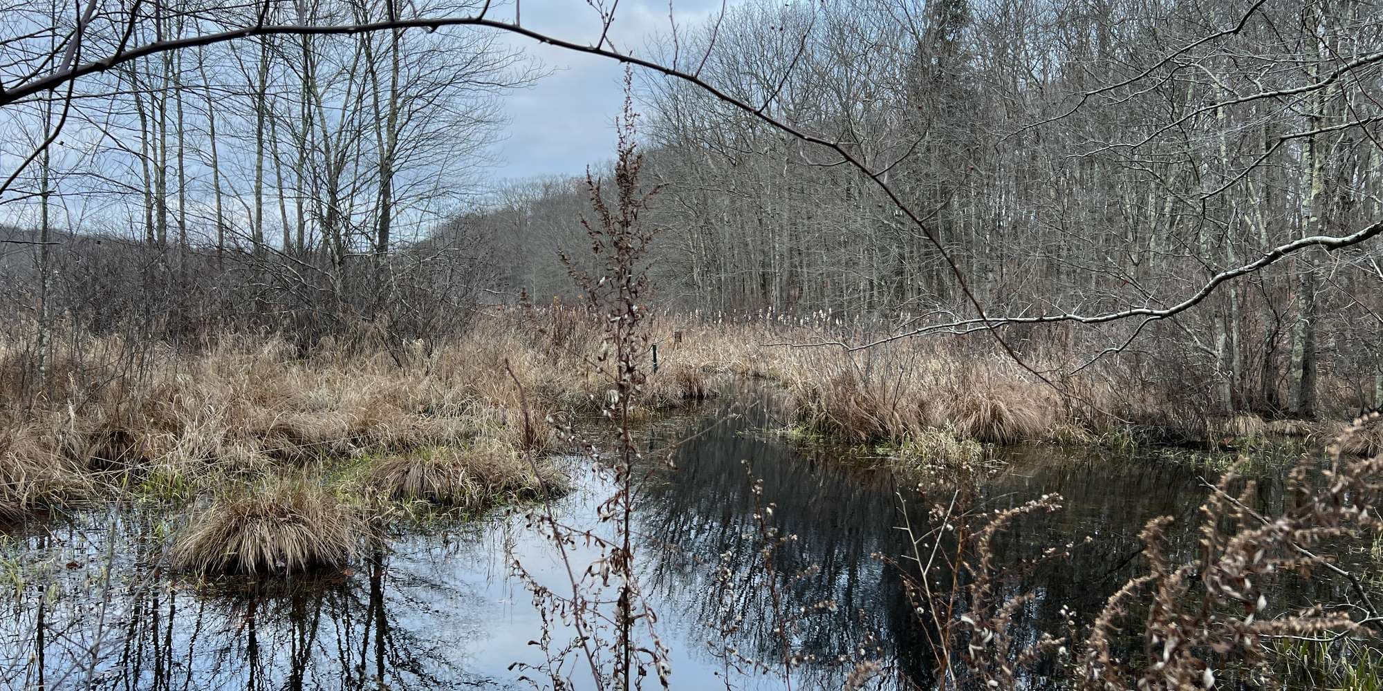 First image to compare