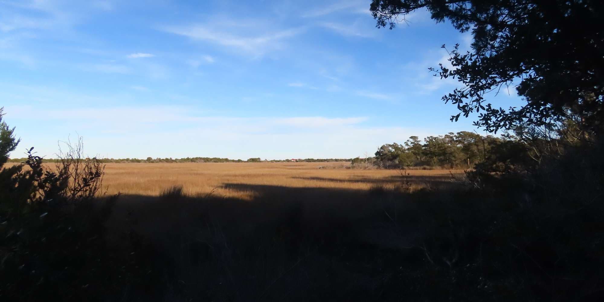 First image to compare