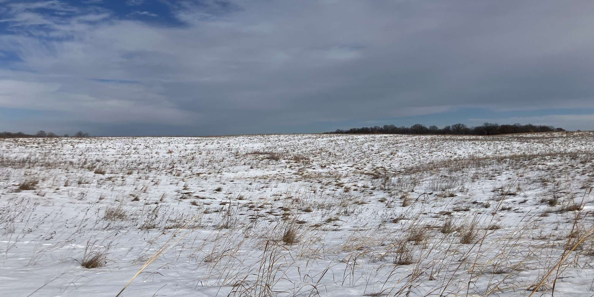 Second image to compare