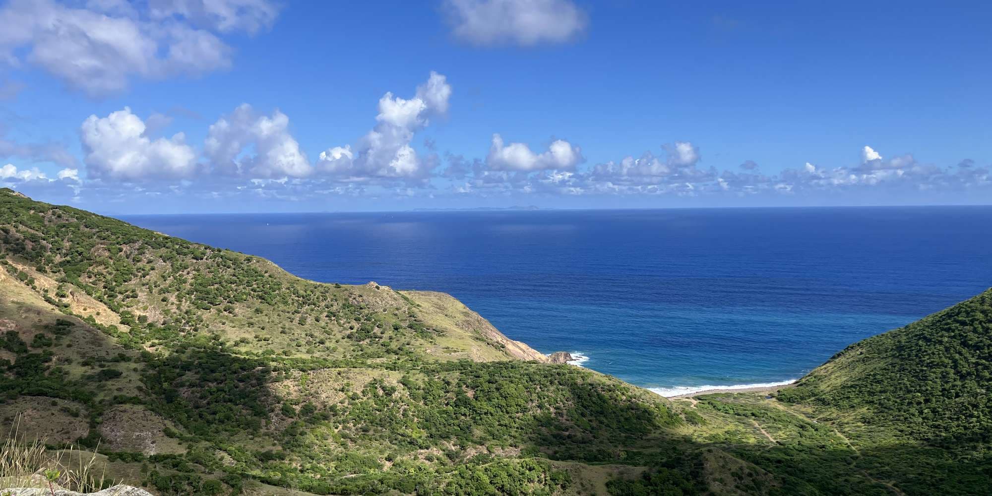 Second image to compare