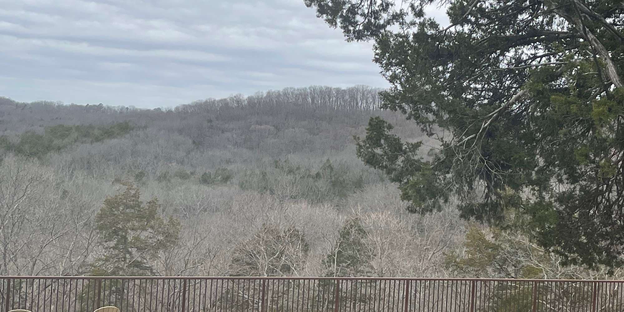 Second image to compare