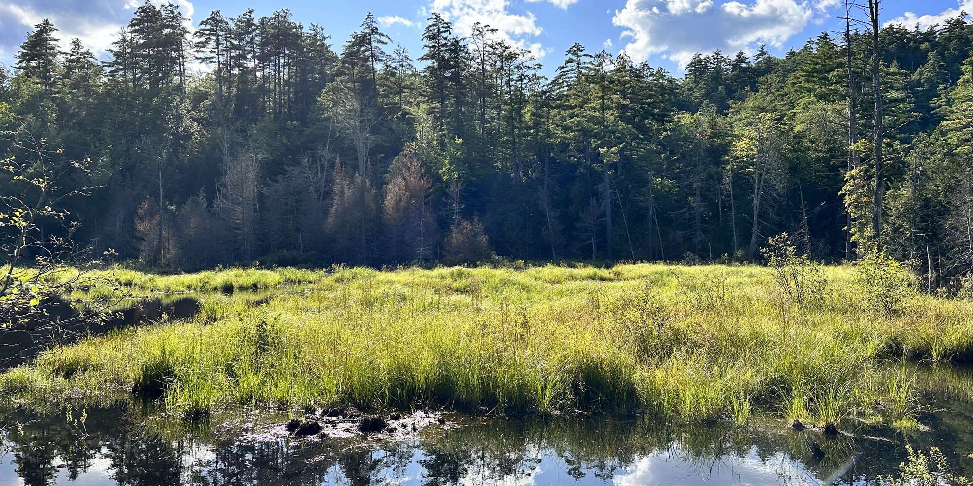 First image to compare