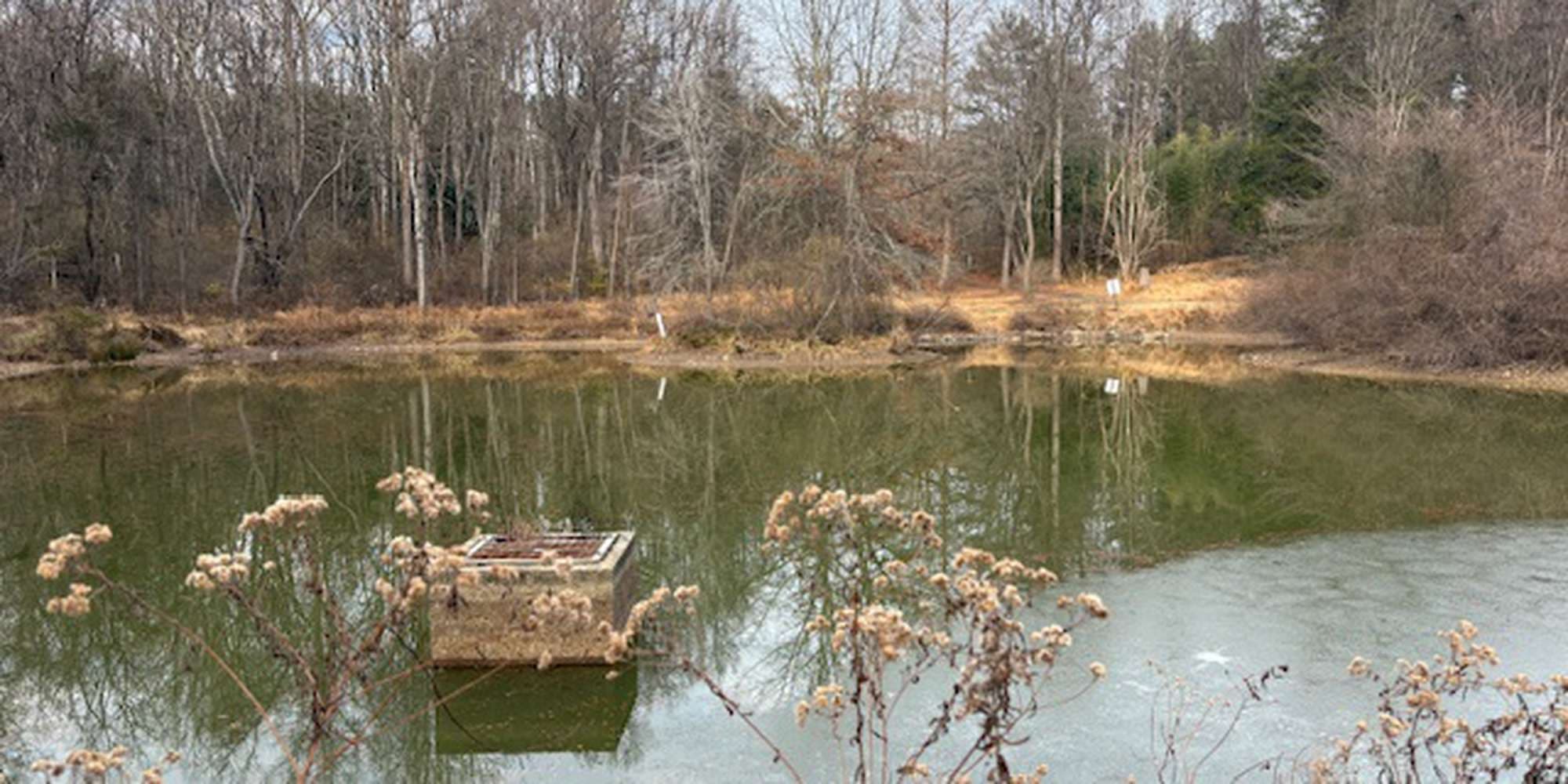 Second image to compare