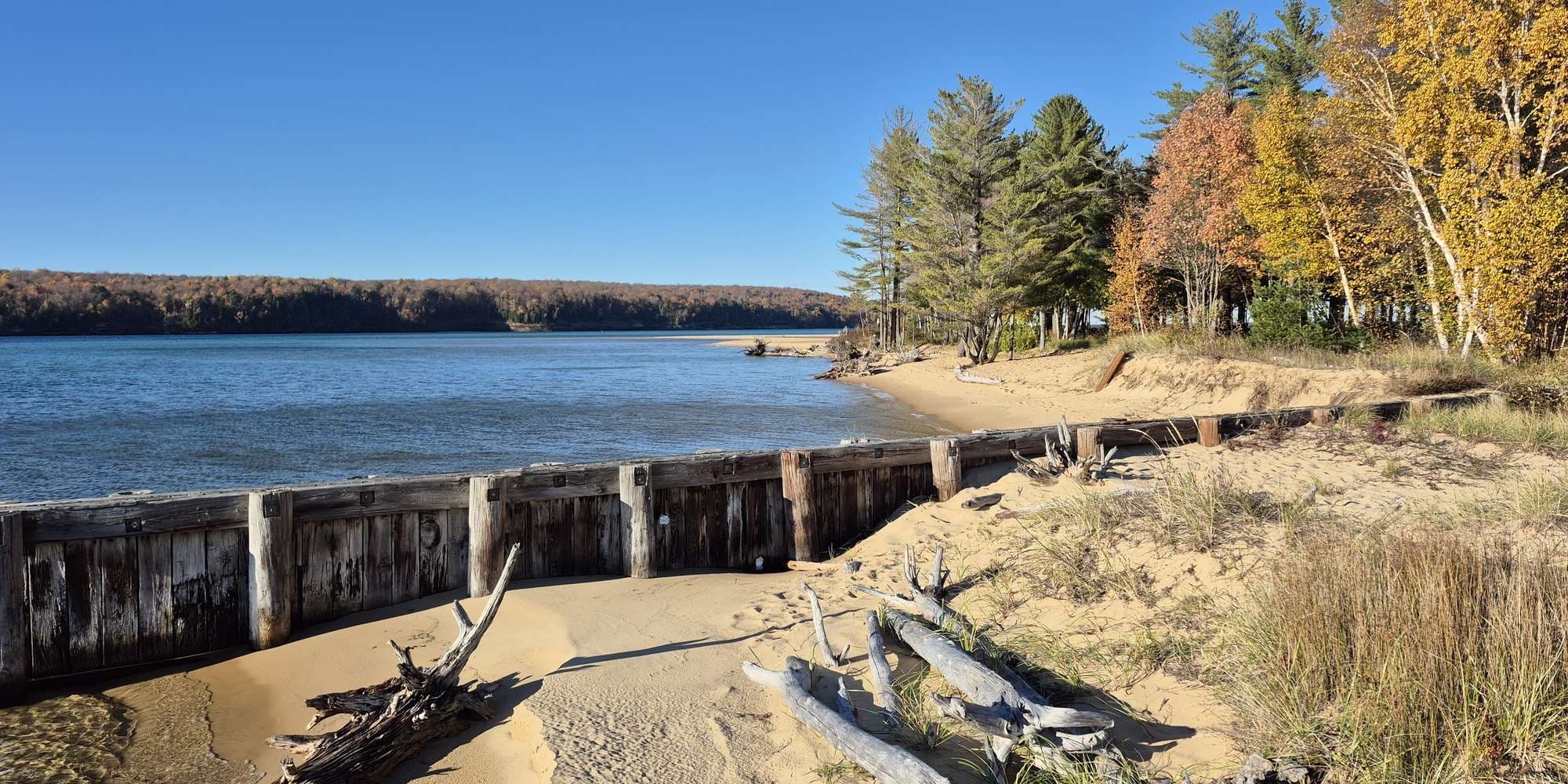 Second image to compare