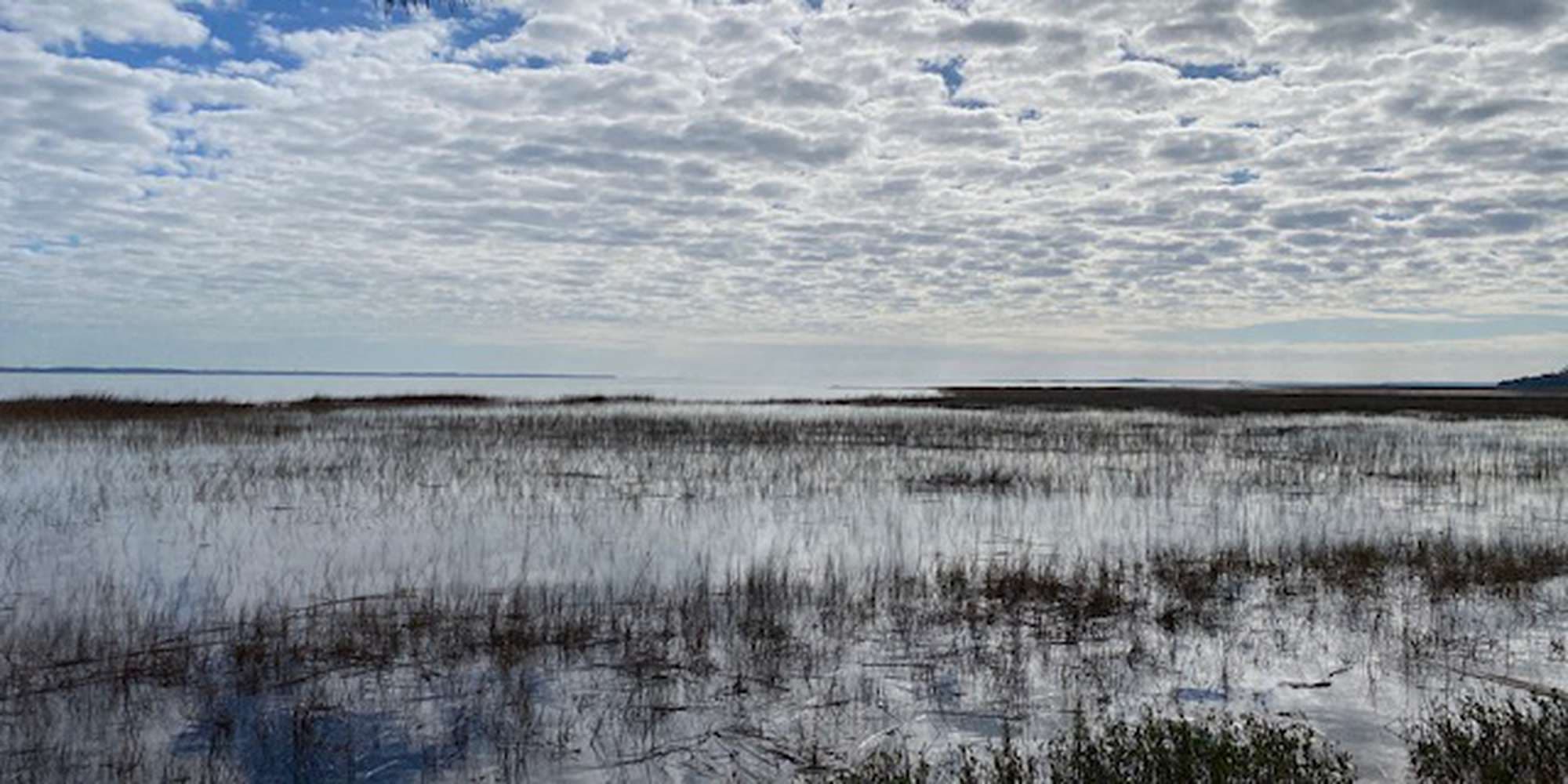 Second image to compare