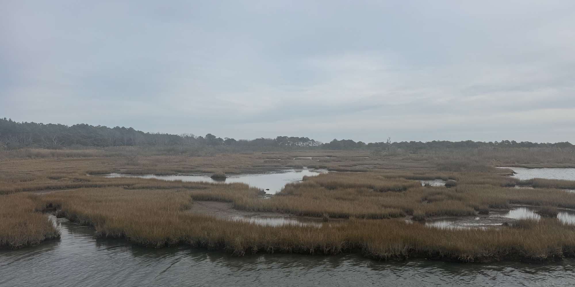 Second image to compare