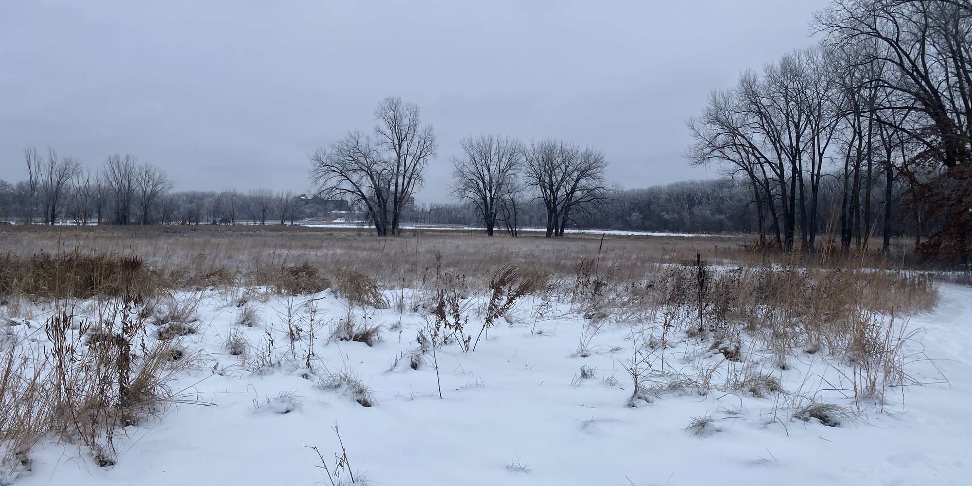 Second image to compare