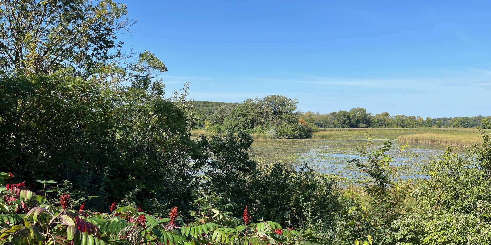 First image to compare