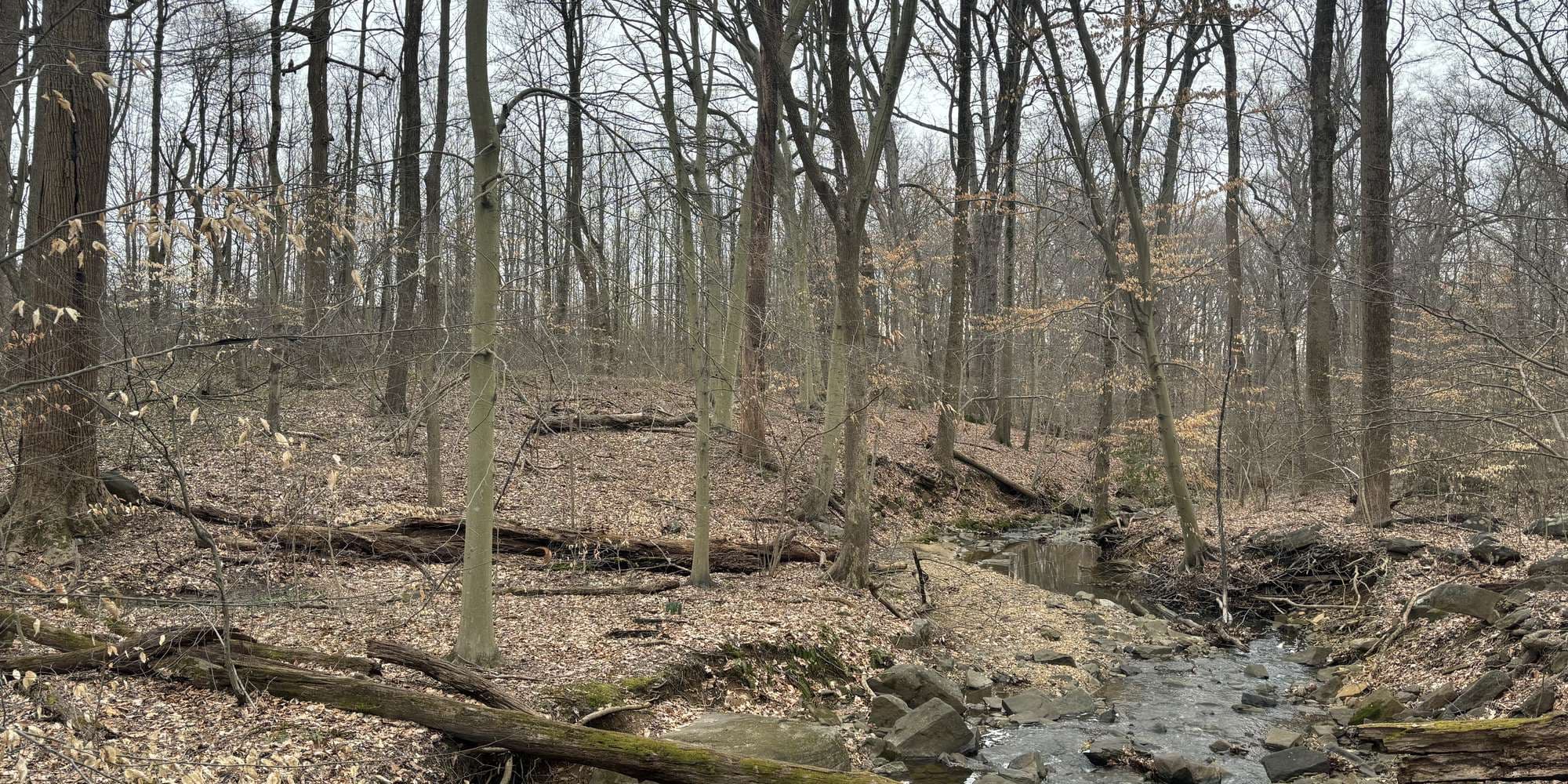 First image to compare