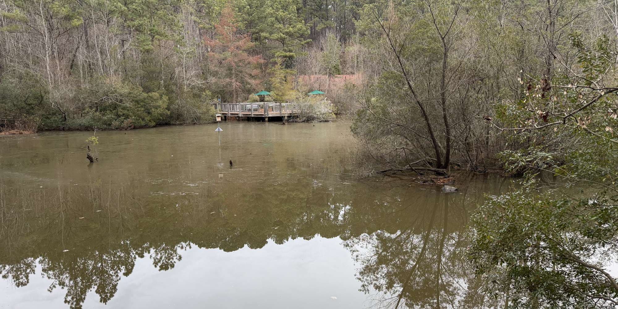 Second image to compare