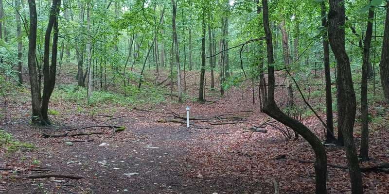 The featured photo for Kings Gap - Forest Pool 6