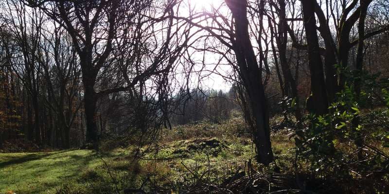 The featured photo for WWS106