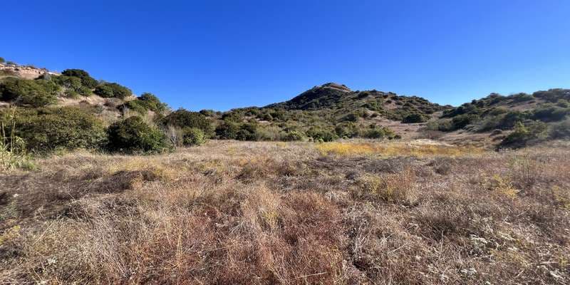 The featured photo for #SpringsFire05