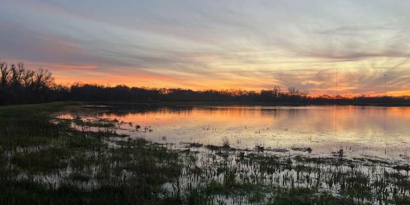 The featured photo for Managed Wetlands Lookout