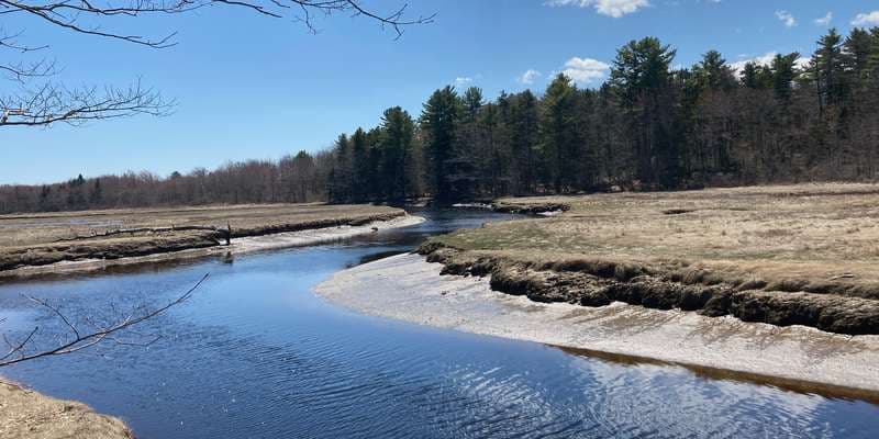 The featured photo for Carson Trail