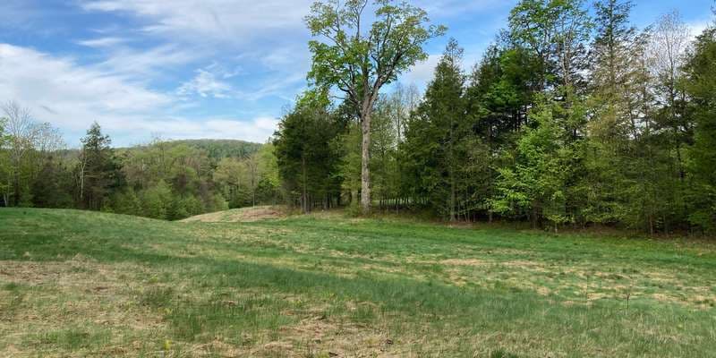 The featured photo for Edge Hill Grasslands and Shrubland Habitats