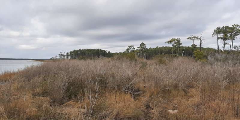 The featured photo for Bell Island Pier, Swan Quarter NWR