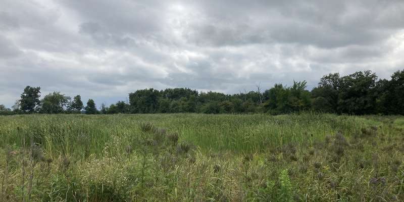 The featured photo for Fruth Wetland Nature Preserve 